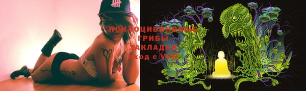 трава Зеленокумск