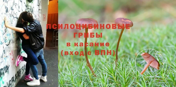 трава Зеленокумск
