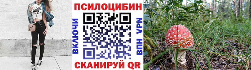 купить наркоту  Искитим  Псилоцибиновые грибы ЛСД 