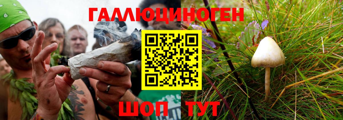 Галлюциногенные грибы прущие грибы  Вход с VPN  магазин продажи наркотиков  Галлюциногенные грибы ЛСД  Искитим 